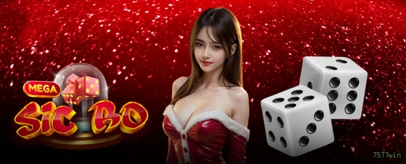 Apostas futebol ao vivo 7577win - odds competitivas
